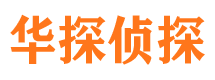 华龙市调查公司